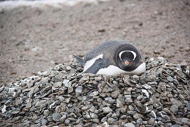 《Crossing The Sands》登陆Steam 复古3D迷宫RPG