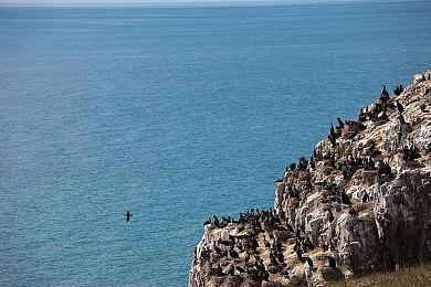 像素风冒险RPG 《梅格与怪物》宣布将于3月2日发售